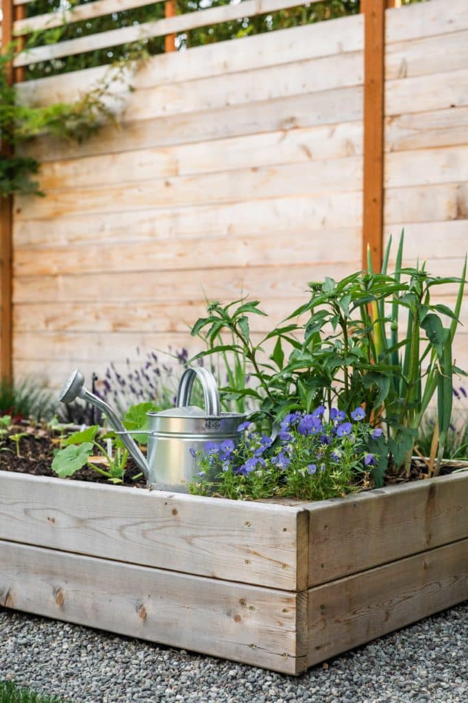 Close up of a corner of a wooden raised bed with growing vegetables, flowers, and metal watering can.