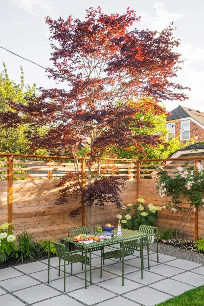 Close up of dining area with Japanese Maple tree growing behind.