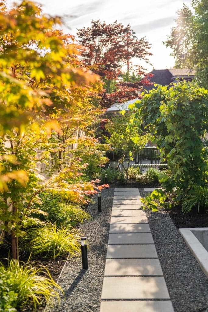 View down concrete paver path with trees on one side and path lighting.