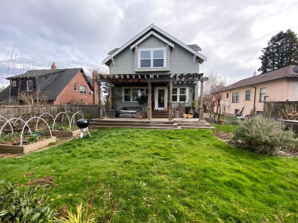 The backyard before renovation, covered in lawn and a few aging raised beds.